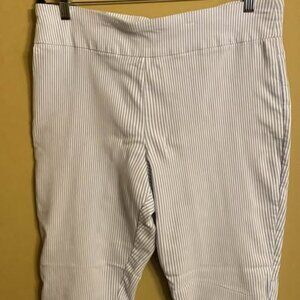 Crown & Ivy Blue Striped Pants